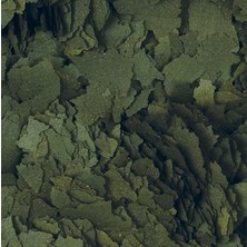 Tropical Spirulina Super Forte Flakes 500 Gram Kovadan Bölme