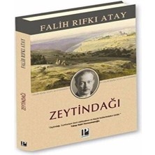Zeytindağı (Ciltli)