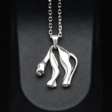 Silvalli 564 Minimalist Kaplan Gümüş Kolye