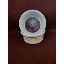 Raccoon Olimpos Serisi Poseidon Seramik Mama ve Su Kabı 300ML