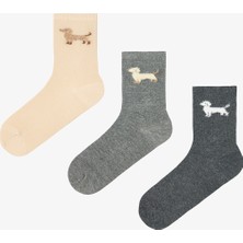 Penti 3 Çift Pamuklu Peluş Köpek Desenli Soket Çorap