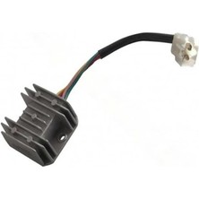 Sevgent Scooter Regülatör 4 Lü Erkek Soket Büyük