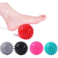 TE Dükkan Buğz Vücut Egzersiz Masaj Topu