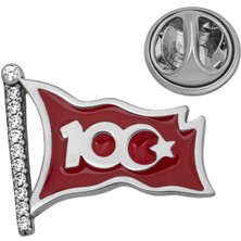 Gumush Hk Gümüş Rozet Ay Yıldız 100.Yıl |Gümüş Takı Hediyelik Ürünler