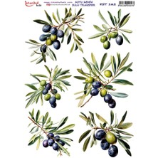 İstanbul Hobi Koyu Zemin Sulu Transfer Kağıdı 25X35CM KST-162