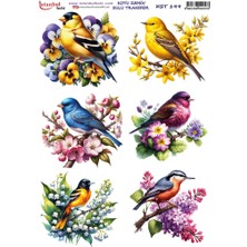 İstanbul Hobi Koyu Zemin Sulu Transfer Kağıdı 25X35CM KST-199