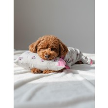 Kemique Minnie Pembe Köpek Uyku Takımı | Pamuklu Penye Köpek Tulumu ve Mini Yastık | Küçük Irklar Için | Tüy Dökülmesini Azaltır