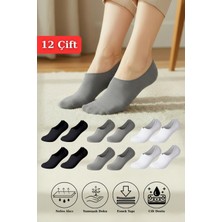 Rays 12 Çift Kadın Renkli Esnek Pamuklu Örme Babet çorap 1020