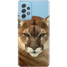 Nurdic Samsung Galaxy A72 Uyumlu Kılıf Desenli Baskılı Silikon Asil Aslan Kaplan