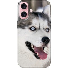 Nurdic iPhone 17 Camera Productor Kılıf Dekoratif Silikon Baskılı Kapak My Hasky