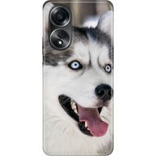 Nurdic Oppo A58 Silikon Kılıf Dekoratif Silikon Baskılı A58 Kapak My Hasky