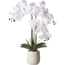 Mudo Home RIVA SAKSILI ORKİDE 60 CM