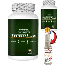 Panax Ginseng Shilajitli Hornygoatlı Tribuluslu Fenugreekli 2 Adet 90 Lı Erkeklere Katılık Boyut Uzun Süren Etkileşim Kapsülleri + Afrodizayn Masaj Yağı