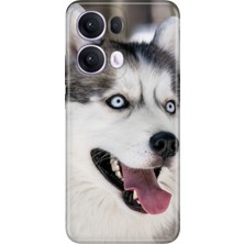 Nurdic Oppo Reno 13 Pro Kılıf Oppo Dekoratif Silikon Baskılı Kapak My Hasky