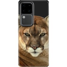 Nurdic Vivo V30 Uyumlu Kılıf Desenli Baskılı Silikon Asil Aslan Kaplan