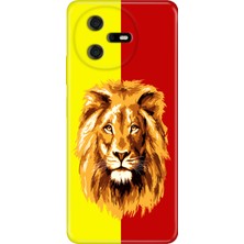 Nurdic Casper Via A40 Kılıf Color Telefon Kılıfı Baskılı Sarı Kırmızı Parçalı Aslan