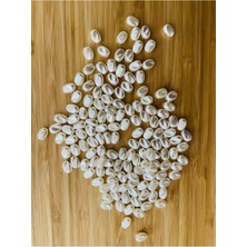 öztürk Şekilsiz Barok Takı Inci. Arpa Modelli. 25GR. Tahmini 150 Adet Civarında. Krem.