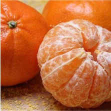 Miho Wase Mandalin 100 cm 120 cm