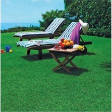 Çim Tohumu Tuzlu Suya Dayanıklı Karışım