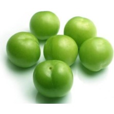 Laroda Erik Fidanı 3 Yaş 100-120 cm