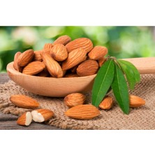 Garrives Badem Fidanı 5 Yaş 150 cm 200 cm