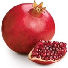 Wonderfull Nar Fidanı 80 cm 100 cm