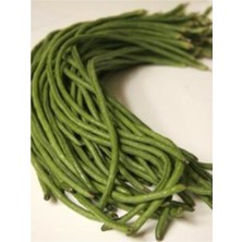 Uzun Börülce Fidesi 30 Adet