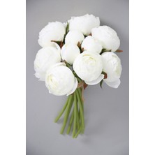 Beyaz Şakayık Çiçeği Fidanı 40CM-60CM
