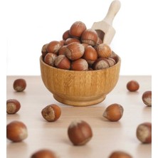 Foşa Fındık Fidanı 150 cm 200 cm