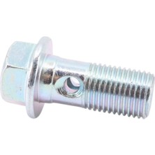 Kaly Bajaj Dominar Hidrolik Fren Hortum Rekoru