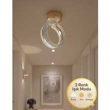 Marsel Lighting Alya Tekli Gold Avize