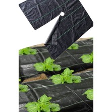 Gampus Yabani Ot Bariyer Matı Yabani Otların Büyümesini Engelleyen Güneş Kesici Mat 60X60 2 Adet