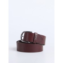 Hugo Kahve Kadın Kemer 50522723