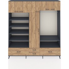 Dienni Hyperion Gardrop 18 Raflı 4 Çekmeceli Tek Askılı 220X44X243 Antrasit-Çam/çam