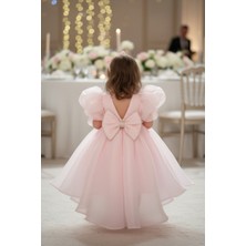 Bertuğ Bebek Pembe Organze Kız Çocuk Bebek Kuyruklu Kabarık Abiye Elbise