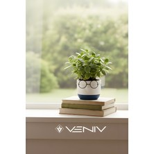 Veniv Home Dekoratif Profesör Gözlüklü Saksı 8x8 cm