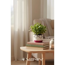 Veniv Home Dekoratif Profesör Gözlüklü Saksı 8x8 cm
