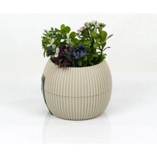 Venüs Shopping Mercan Saksı 11.5X12 cm 0.70 Lt