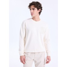 Altınyıldız Classics Bisiklet Yaka Taş Erkek Sweatshırt ACE052261046_TAS