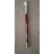 Alex Scholler 998 Kedi Dili Fırça No: 1/2