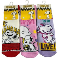 Çimpa 3'lü Peanuts Figürlü Tabanı Kaydırmaz Çocuk Havlu Çorap