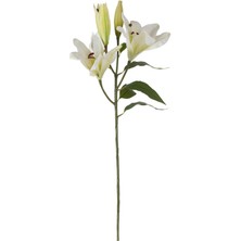 Mudo Home ZARİF ZAMBAK ÇİÇEĞİ BEYAZ 75CM