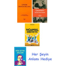 Alfa Yayınları Lineer Programlama + Geometri + Normal Ebeveyn + Her Şeyin Anlamı