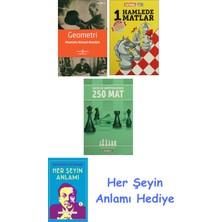 Alfa Yayınları Geometri + 1 Hamlede Matlar + Küçükler Şampiyonasından 250 Mat + Her Şeyin Anlamı