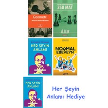 Alfa Yayınları Geometri + Küçükler Şampiyonasından 250 Mat + Her Şeyin Anlamı + Normal Ebeveyn + Her Şeyin Anlamı