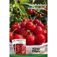 Botanik 200 Adet Kiraz Biber Tohumu (Tatlı)