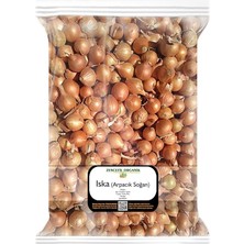 Soğan 500 Gr. Arpacık Soğan Iska Soğan Tohumu Iska