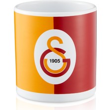 Gs Store Galatasaray Parçalı Mug U251124