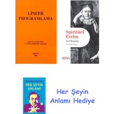 Alfa Yayınları Lineer Programlama + Spiritüel Evrim + Her Şeyin Anlamı