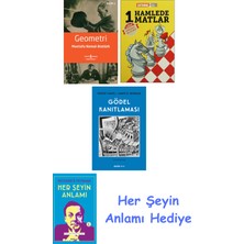 Alfa Yayınları Geometri + 1 Hamlede Matlar + Gödel Kanıtlaması + Her Şeyin Anlamı